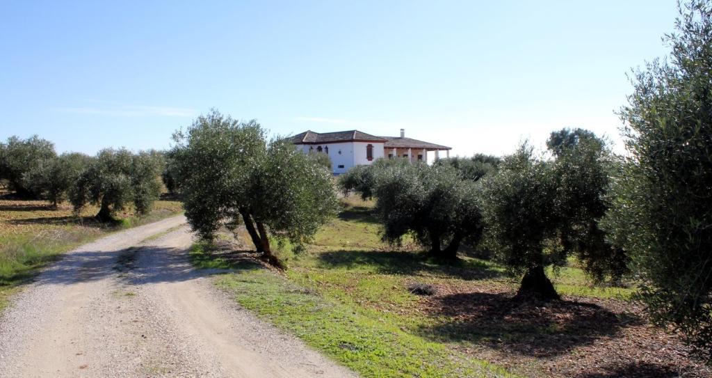 Casa Rural La Serrana لا كارلوتا المظهر الخارجي الصورة