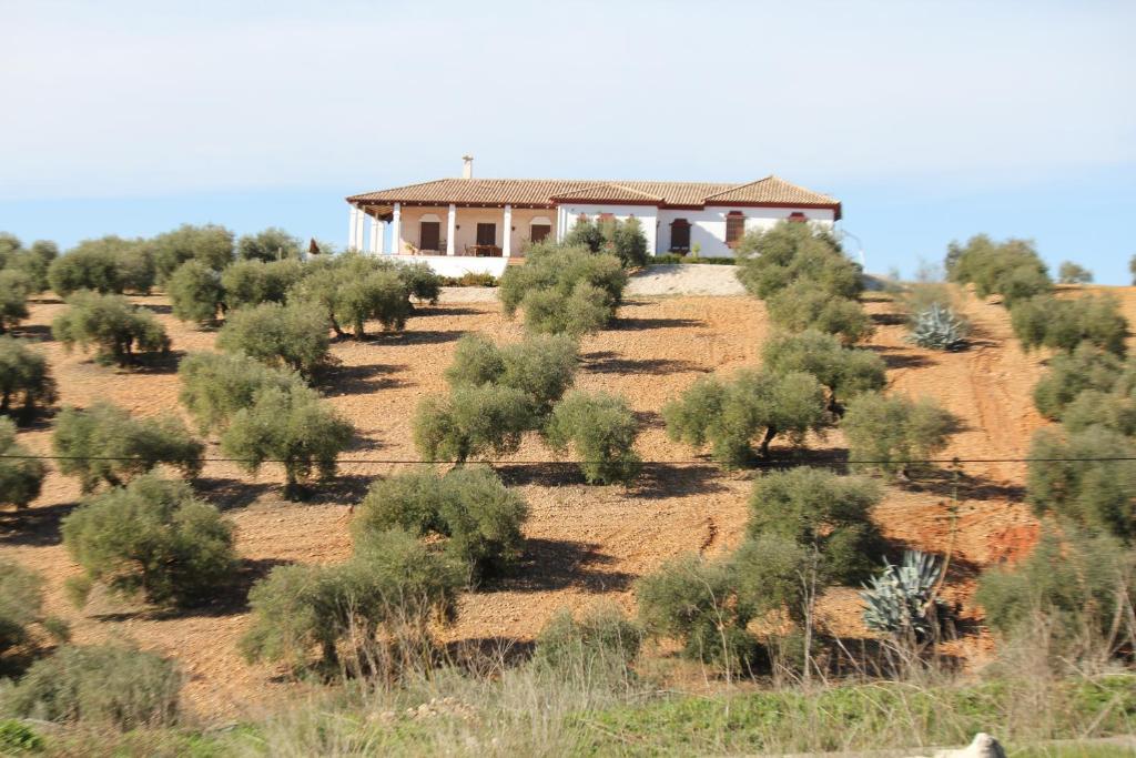 Casa Rural La Serrana لا كارلوتا المظهر الخارجي الصورة
