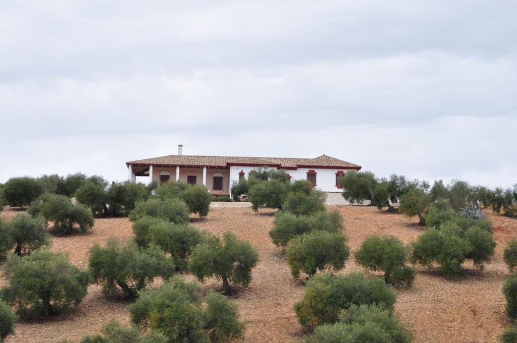 Casa Rural La Serrana لا كارلوتا المظهر الخارجي الصورة